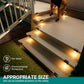 Solar LED Step Light Waterproof - Auto Light Up In The Dark